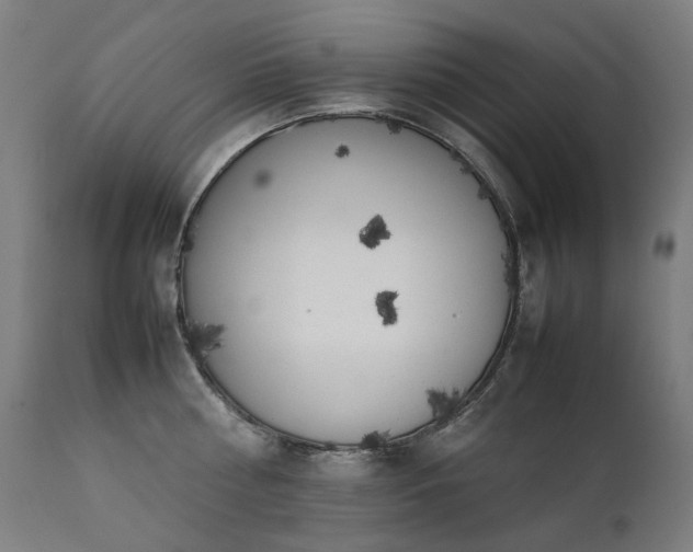 X0000111370810200907171156