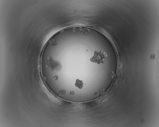 X0000111370811200907171156