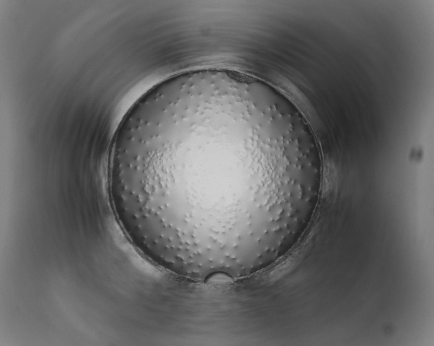 X0000111370812200907171156