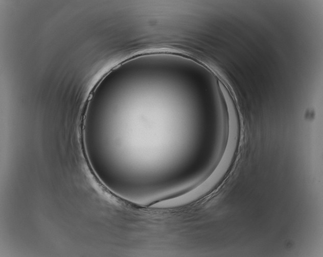 X0000111370813200907171156