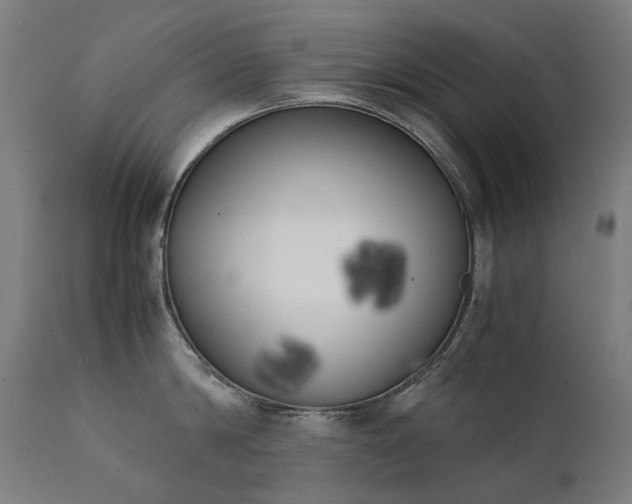 X0000111370814200907171156