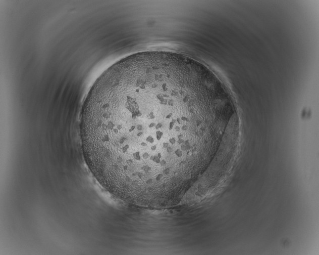 X0000111370816200907171156