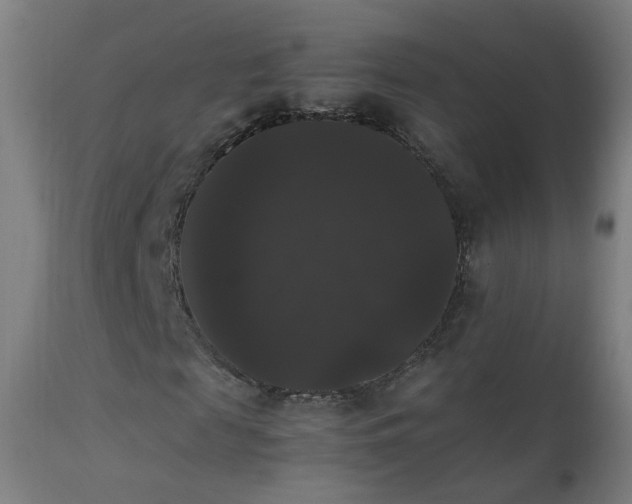 X0000111370817200907171156