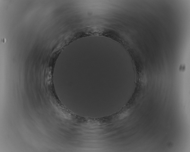 X0000111370818200907171156