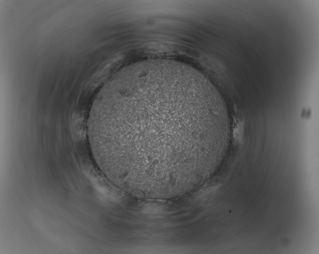 X0000111370819200907171156