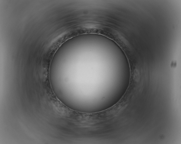 X0000111370821200907171156