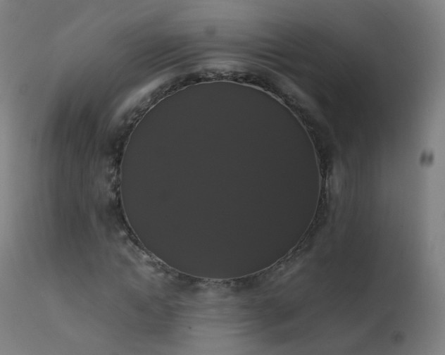 X0000111370822200907171156