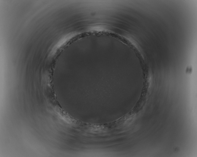 X0000111370823200907171156