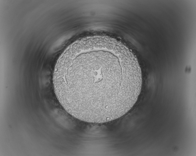 X0000111370824200907171156