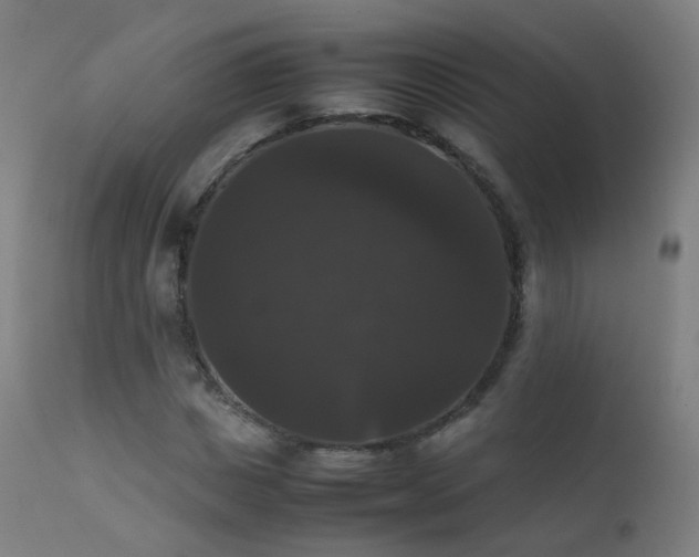 X0000111370825200907171156