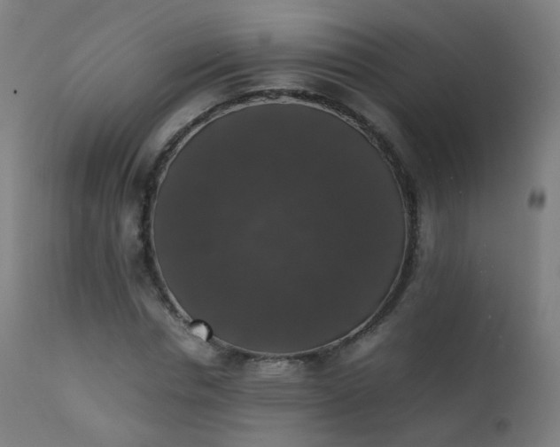 X0000111370826200907171156