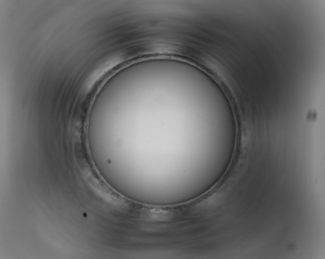 X0000111370827200907171156