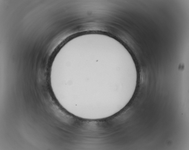 X0000111370828200907171156