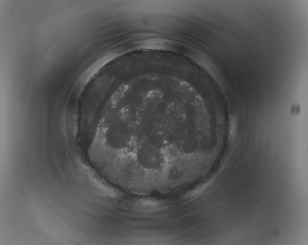 X0000111370829200907171156