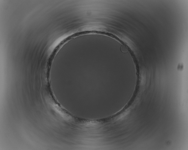 X0000111370830200907171156