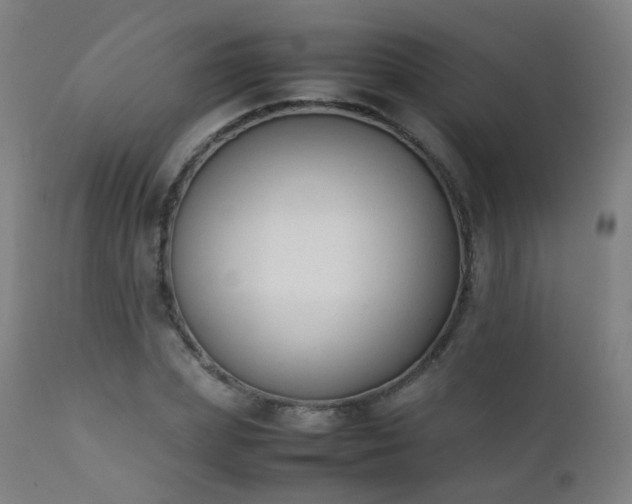 X0000111370831200907171156