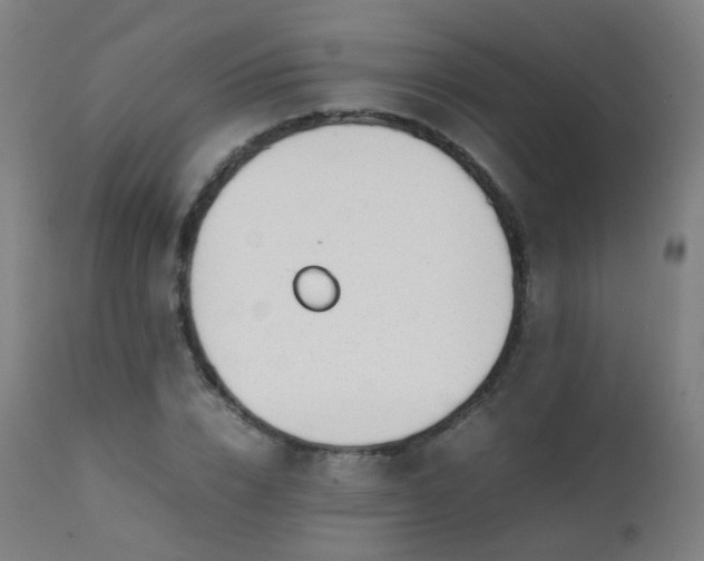 X0000111370832200907171156