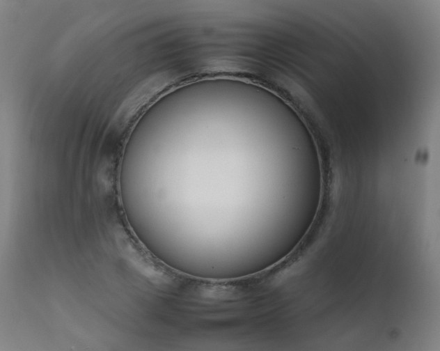 X0000111370833200907171156