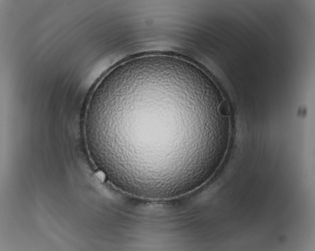 X0000111370834200907171156