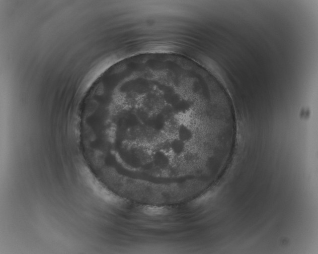 X0000111370835200907171156