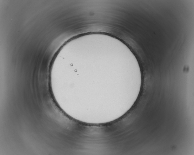 X0000111370836200907171156