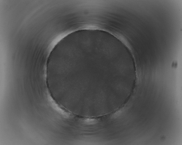 X0000111370839200907171156