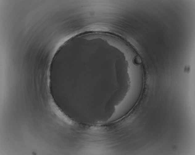 X0000111370840200907171156