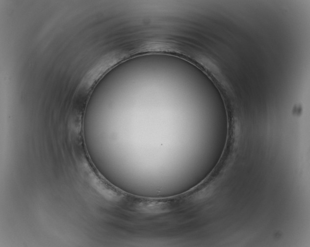 X0000111370841200907171156