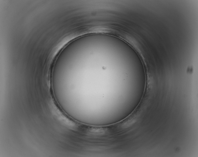 X0000111370843200907171156