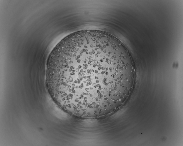 X0000111370844200907171156
