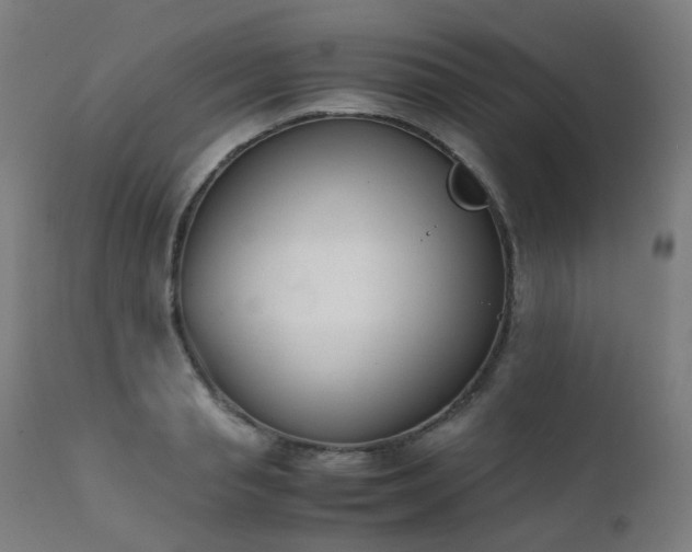 X0000111370845200907171156