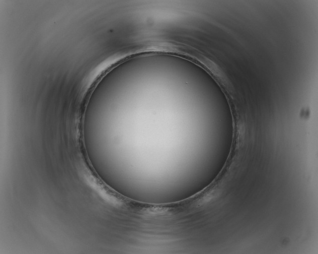 X0000111370846200907171156