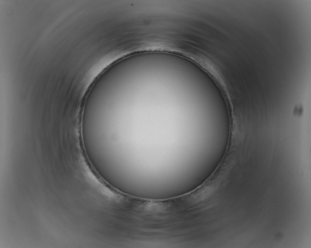 X0000111370847200907171156