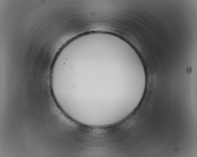 X0000111370848200907171156