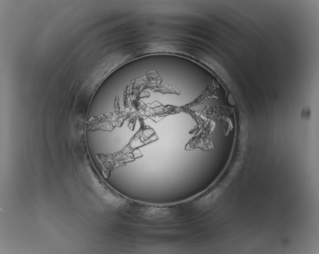 X0000111370849200907171156