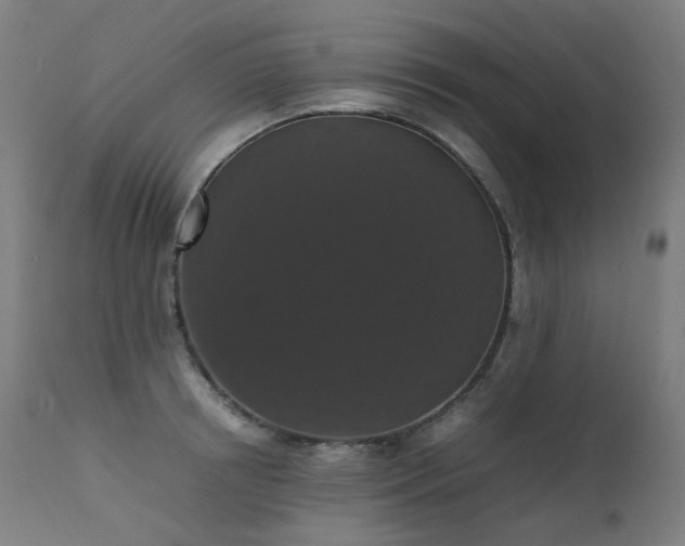 X0000111370850200907171156