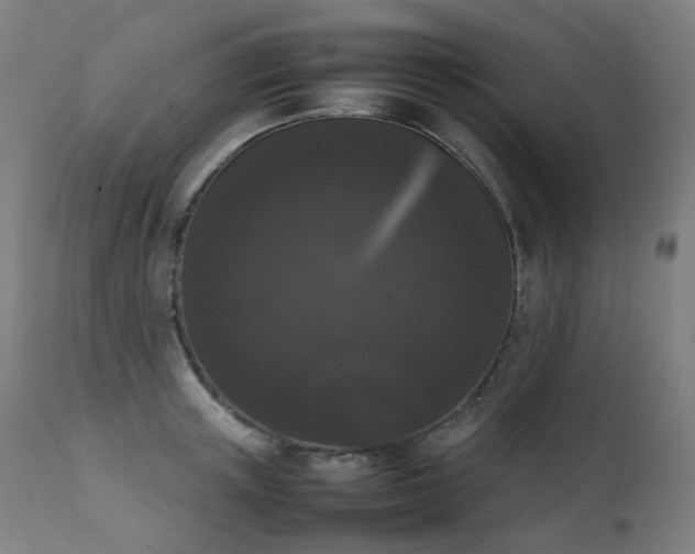 X0000111370851200907171156