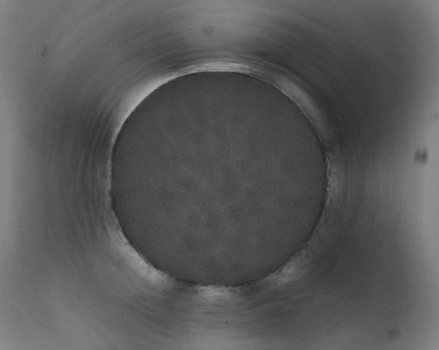 X0000111370852200907171156