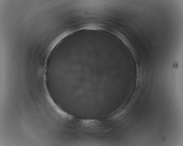 X0000111370853200907171156