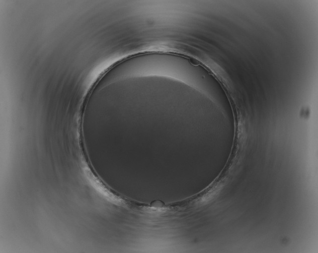 X0000111370854200907171156