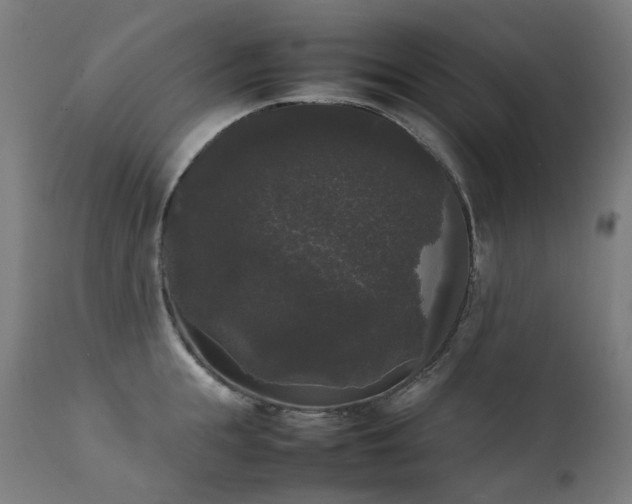 X0000111370855200907171156