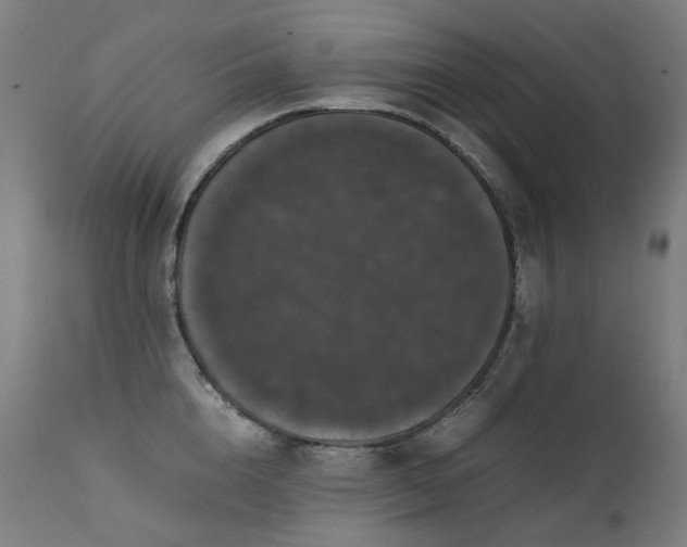 X0000111370856200907171156