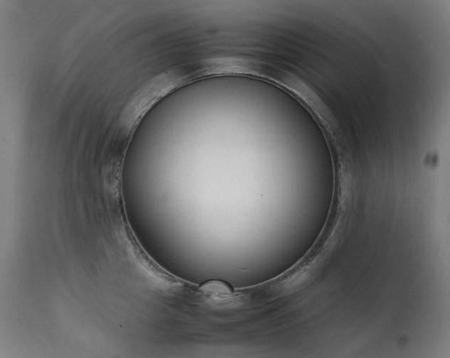 X0000111370857200907171156