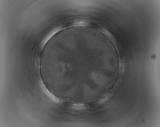 X0000111370859200907171156