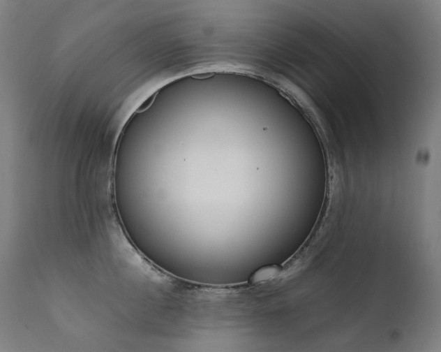 X0000111370860200907171156