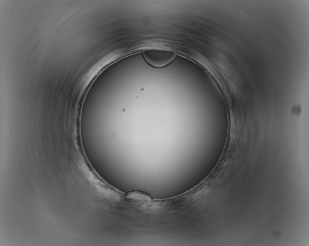 X0000111370861200907171156