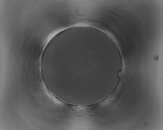 X0000111370862200907171156