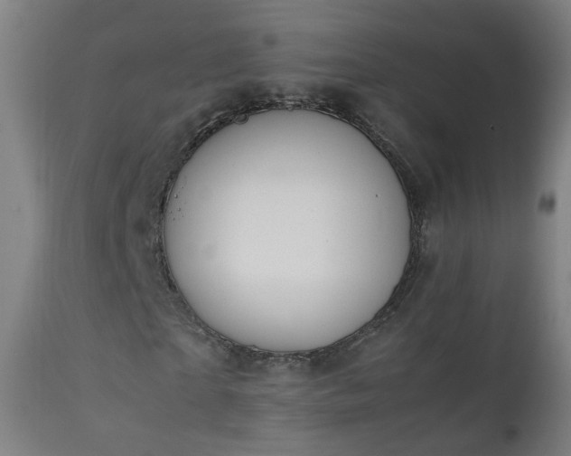 X0000111370865200907171156