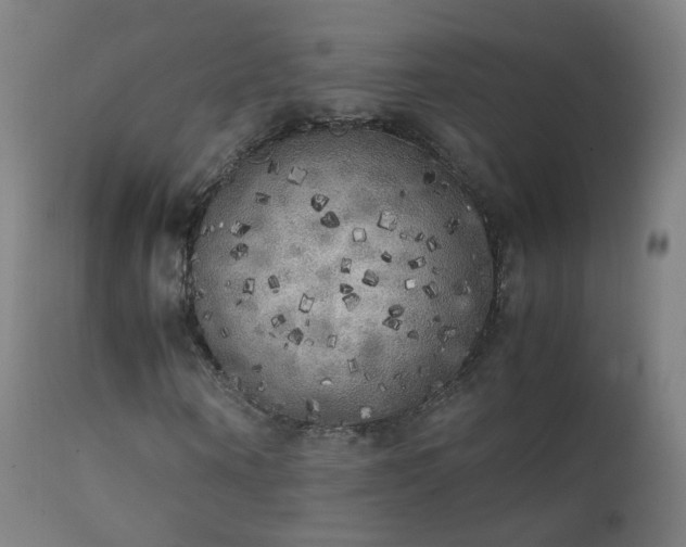 X0000111370866200907171156