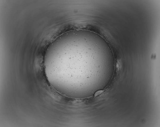 X0000111370867200907171156